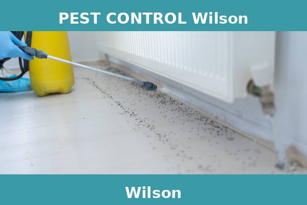 PEST CONTROL Wilson